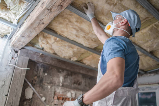 Best Insulation for Specific Applications in Marine, IL