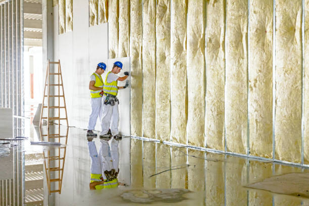 Best Types of Insulation in Marine, IL